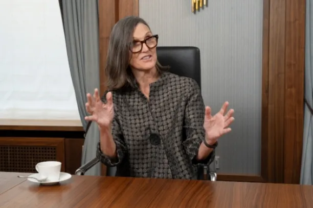 Cathie Wood, Gründerin und CEO der Investmentgesellschaft Ark Invest, wurde mit Wetten auf disruptive Innovation bekannt.