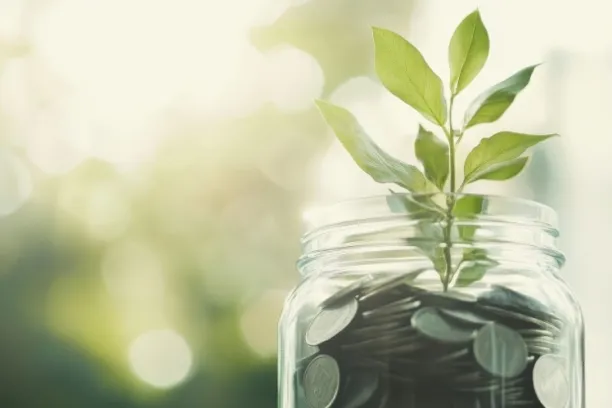 Die London Stock Exchange Group hat in einer Studie erhoben, dass Investments in Green Economy einen Performancevorteil erwirtschaften.