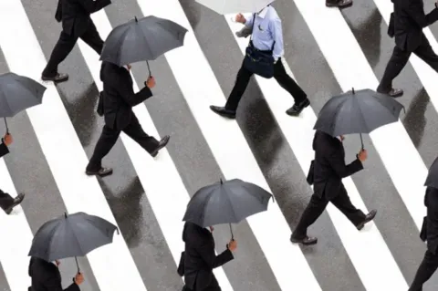 Diversifizierte Antizyklik