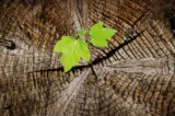 Eine Frage des Alters