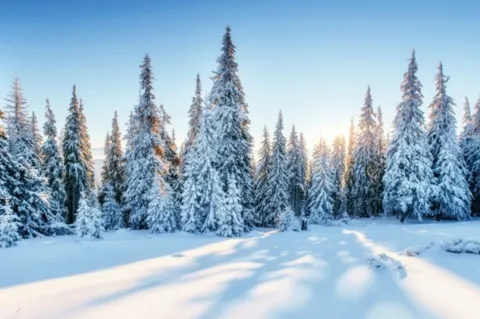 Ein europäischer VC-Winter