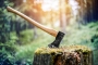 1661156052_adobestock_353246513_c_milan_axt.jpg