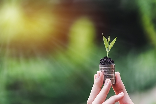 anleihenfonds 2021 bittrex erfahrungen über 150 kryptowährungen handeln